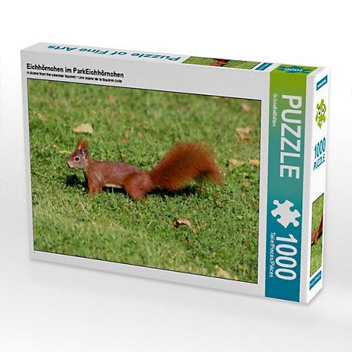 Puzzle CALVENDO Puzzle Eichhörnchen im ParkEichhörnchen - 1000 Teile Foto-Puzzle glückliche Stunden Kinder