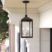 Mercury Row® Tucana 3 -Bulb Outdoor Hanging Lantern Brass/Glass/Metal in Black | 18.5 H x 8.25 W x 8.25 D in | Wayfair