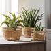 Bay Isle Home™ Geiser Indoor Seagrass Planter Pot Set of 3 Natural Fibers in Brown | 7.5 H x 10.2 W x 10.2 D in | Wayfair