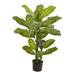 Primrue 4’ Dieffenbachia Plant (Real Touch) | 48 H x 36 W x 34 D in | Wayfair 0BA1BAFF603145B3BDC540E830EC766A