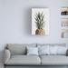 Bayou Breeze Pineapple Natural by 1x Studio III - Wrapped Canvas Photograph Canvas, Wood in Brown/Gray/White | 24 H x 16 W x 2 D in | Wayfair