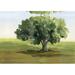 Winston Porter Green Tree Lonesome Paint - Wrapped Canvas Painting Print Metal in Blue/Green | 32 H x 48 W x 1.25 D in | Wayfair