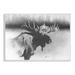 Stupell Industries Moose In Rustic Forest Realistic Pencil Drawing Gray Farmhouse Rustic Oversized Framed Giclee Texturized Art By Cole Johnson | Wayfair