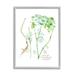 Stupell Industries Dill Greens Best Of Herbs Watercolor Garden Plants White Framed Giclee Texturized Art By Verbrugge Watercolor in Brown | Wayfair