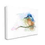 Stupell Industries Kingfisher Perched Bird On Cottage Tree Branch Black Framed Giclee Texturized Art By Verbrugge Watercolor Canvas | Wayfair