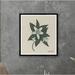 TK Home Orange Blossom - Picture Frame Print Paper in Brown/Green/White | 42 H x 36 W x 1.5 D in | Wayfair CM111-40x36-B