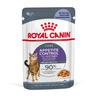 Royal Canin Appetite Control Care in Gelee - 12 x 85 g