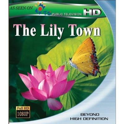 The Lily Town Blu-ray Disc