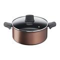Tefal G2534632 Resource Stewpot 24 CM, Titanium Pro Non-Stick Coating, Thermal Signal, Durable, Suitable for All Hobs, Easy Clean, Brown