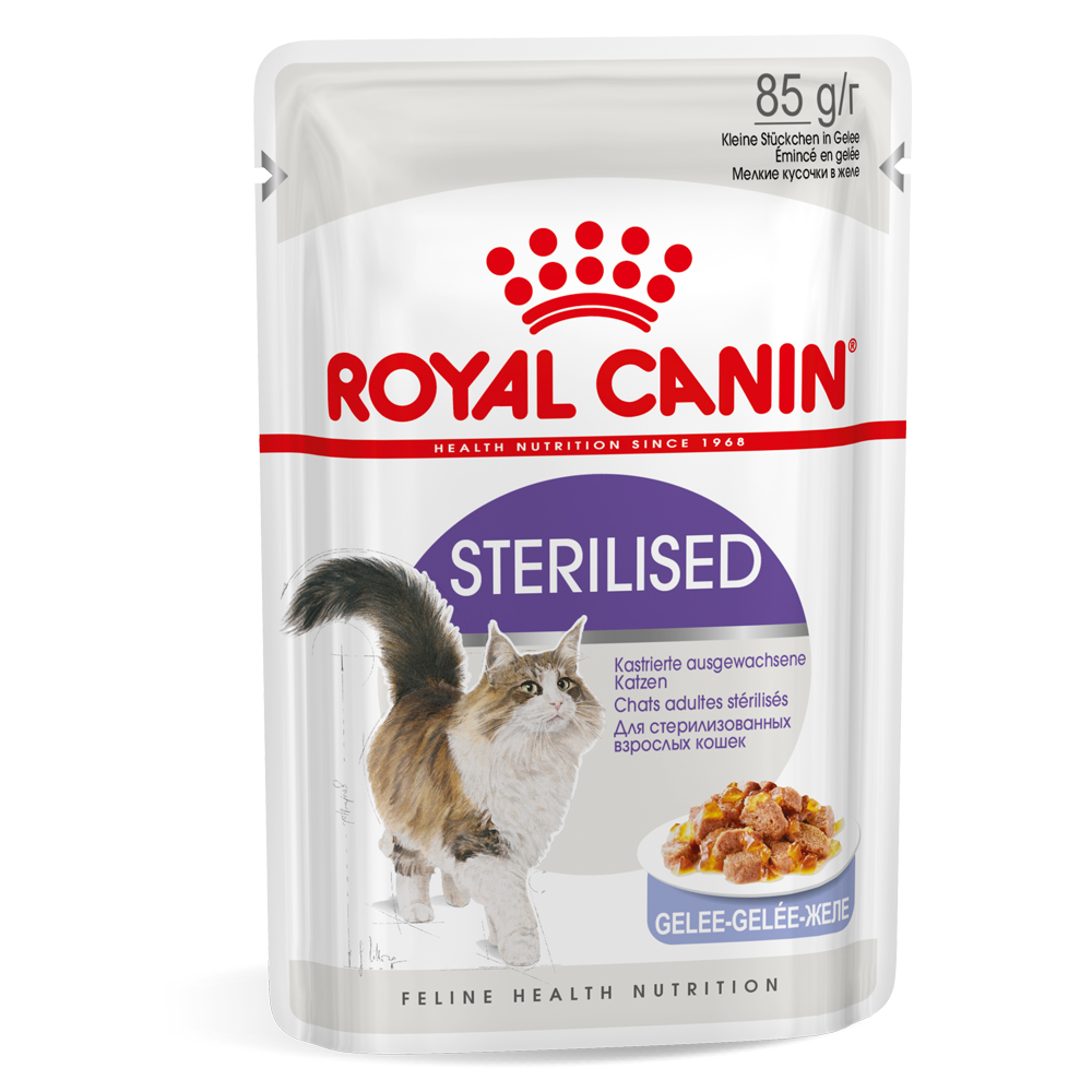 Royal Canin Sterilised umido in Gelatina per gatti - Set %: 48 x 85 g