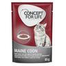 Concept for Life Maine Coon Adult (a base di pregiato ragù) - Set %: 24 x 85 g