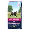 Eukanuba Puppy Large Breed Pollo - Set %: 2 x 15 kg