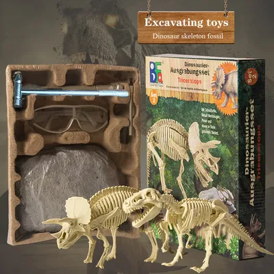 Modules de fossile de dinosaure archéologique modèle de squelette jouet pour enfants découverte