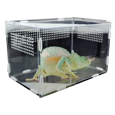 Boîte d'élevage de reptiles boîte ornementale transparente en acrylique pour animaux de compagnie