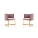 Aura Polished Brass Velvet Dining Chair (Set of 2)