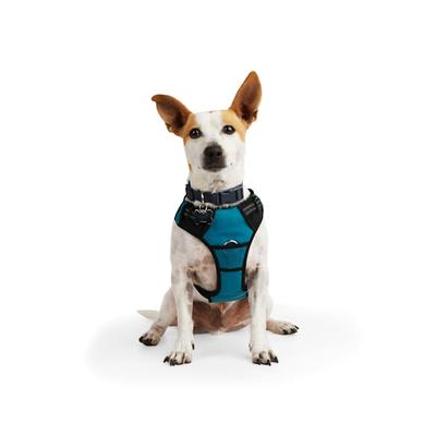EveryYay Front Walking Reflective Dog Harness, Teal, XX-Large/3X-Large
