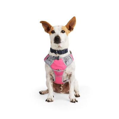 EveryYay Front Walking Reflective Dog Harness, Pink, X-Small