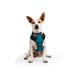 Embrace the Pace Teal Reflective Dog Harness, Medium, Blue