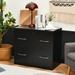 Inbox Zero 29" W Wood 2-Drawer Filing Cabinet w/ Lock Wood in Black | 28.5 H x 29 W x 16 D in | Wayfair 206FFCC4CDCA4A419F191C7AE24C0A35