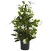 24" Stephanotis Artificial Climbing Plant - 12"W x 12"D x 24"H