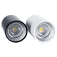 Spot Lumineux LED Cylindrique Noir et Blanc à Intensité Réglable Luminaire de Plafond pour Salon