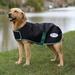 WeatherBeeta Green - Tec 900D Dog Coat - 20 - Black/ Green - Smartpak