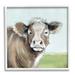 Stupell Industries 15_Big Ear Farm Cattle Countryside Cow Fluffy Hair Stretched Canvas Wall Art By Janet Tava Wood in Brown | 12 H x 12 W in | Wayfair