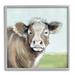 Stupell Industries 15_Big Ear Farm Cattle Countryside Cow Fluffy Hair Stretched Canvas Wall Art By Janet Tava Wood in Brown | 12 H x 12 W in | Wayfair