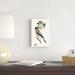 Red Barrel Studio® Antique Bird, Botanical & Egg IV Canvas in Black/Green/Orange | 12 H x 8 W x 1.25 D in | Wayfair