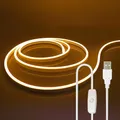 5V USB LED bande lumineuse au néon à intensité variable 2835 120LED/m avec variateur Led ruban 0.5m