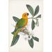 Bayou Breeze Tropical Bird & Flower I by Vision Studio - Wrapped Canvas Painting Canvas, Wood in White | 36 H x 24 W x 1.25 D in | Wayfair