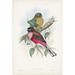 Bayou Breeze Gould Tropical Birds VIII by John Gould - Wrapped Canvas Painting Canvas, Wood | 12 H x 8 W x 1.25 D in | Wayfair