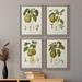 Rosalind Wheeler Vintage Pears I Premium Framed Canvas - Ready To Hang Canvas, Wood in Green/Indigo/Pink | 43.5 H x 31.5 W in | Wayfair