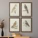 Loon Peak® Barn Owl Premium Framed Canvas - Ready To Hang Canvas, Wood in Gray/Green | 68 H x 20 W in | Wayfair 86AA3C98B89343AC94A586F62541F7CD