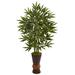 5' Bamboo Tree in Bamboo Planter - 32"D x 32"W x 60"H