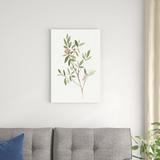 Red Barrel Studio® Single Sprig IV by Annie Warren - Wrapped Canvas Painting Canvas in Brown/Green | 30 H x 20 W x 1.25 D in | Wayfair