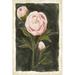 Rosdorf Park Vintage Peonies I by Grace Popp - Wrapped Canvas Painting Canvas | 18 H x 12 W x 1.25 D in | Wayfair F0F3AFBBEAA04749982B1E3B2AB3287D