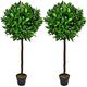 SASONS® 2 x Quality Artificial Bay Laurel Tree 4Ft Garden Decorative Topiary Ball Tree Plant Pair with real wood trunk and natural leaves appearance 120cm (1.2m Height) Outdoor/Indoor