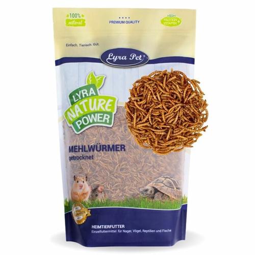 Lyra Pet - 10 kg ® Mehlwürmer für Nager