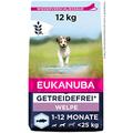 Eukanuba Welpenfutter getreidefrei mit Fisch für kleine und mittelgroße Rassen - Trockenfutter ohne Getreide für Junior Hunde, 12 kg