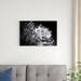 Red Barrel Studio® Dandelion Abstract I by Laura Marshall - Wrapped Canvas Photograph Canvas in Black/White | 20 H x 30 W x 1.25 D in | Wayfair