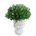 12-inch Preserved Holly and Boxwood Topiary