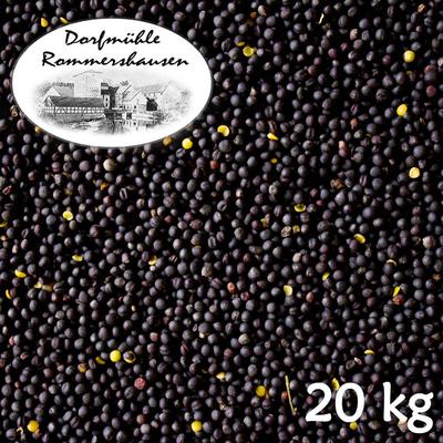 Petigi - 20 kg Raps Rapssamen Gereinigt Rapssaat Rapskissen Kissen Wärmekissen Kissen dml