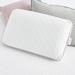 nue by Novaform Gel Memory Foam Medium Support Pillow Polyester/Gel Memory Foam | 16 H x 24 W x 5 D in | Wayfair 3301806