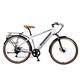 Dallingridge Malvern Hybrid Trekking Electric Bike 700c Wheel 6 Speed 36v 14ah Satin Silver/Camel