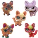 LPS agan Rare Animal Littlest Pet Shop Bobble Head Toys Cute Anime Toys Brown Fox with Green