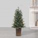 The Holiday Aisle® 4' H Green Realistic Artificial Spruce Christmas Tree w/ 100 LED Lights in White | 24 D in | Wayfair