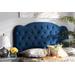 Baxton Studio Clovis Modern and Contemporary Navy Blue Velvet Fabric Upholstered Queen Size Headboard - Wholesale Interiors Clovis-Navy Blue Velvet-HB-Queen