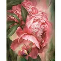 Peinture par numéros pour adultes fleurs roses peintures acryliques sur toile pour cadre Photo de