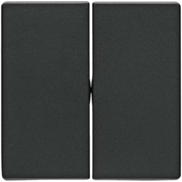 Berker Wippe anth/sa 16236086 Image